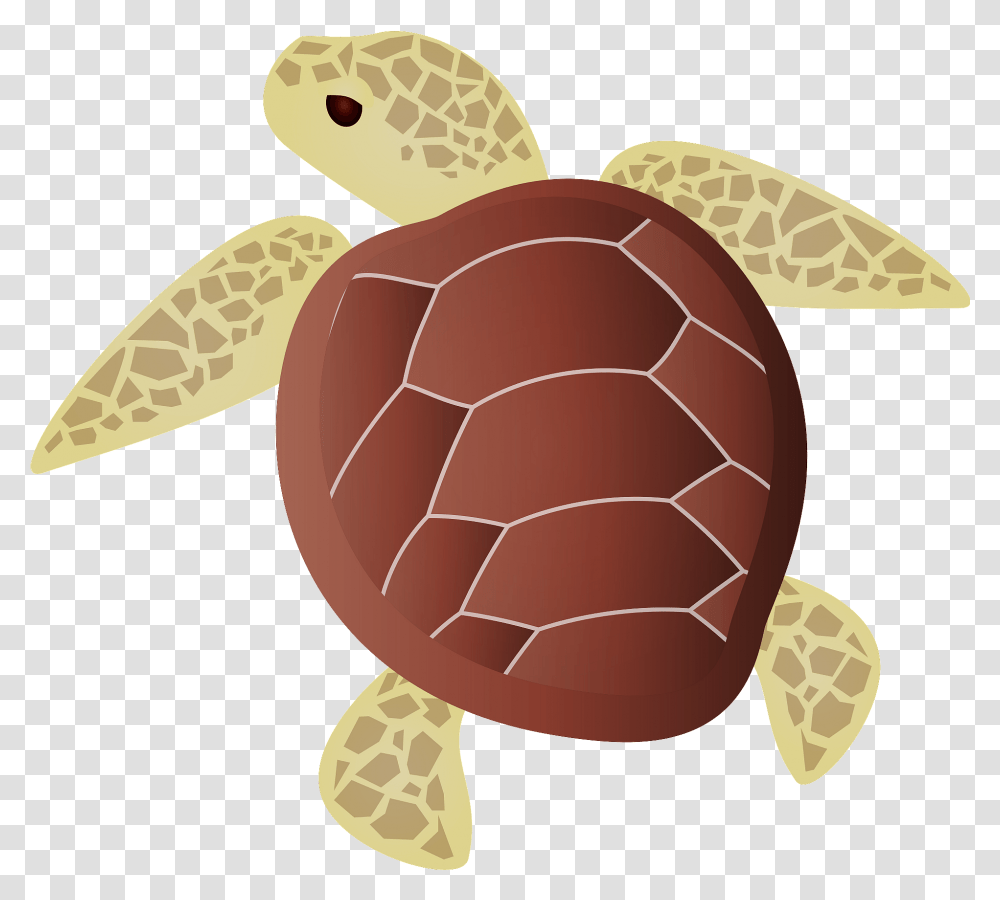 Green Sea Turtle, Tortoise, Reptile, Sea Life, Animal Transparent Png