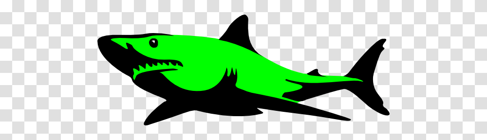 Green Shark Clip Arts For Web, Sea Life, Fish, Animal, Transportation Transparent Png