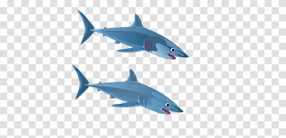 Green Shark Clipart For Web, Sea Life, Fish, Animal, Great White Shark Transparent Png