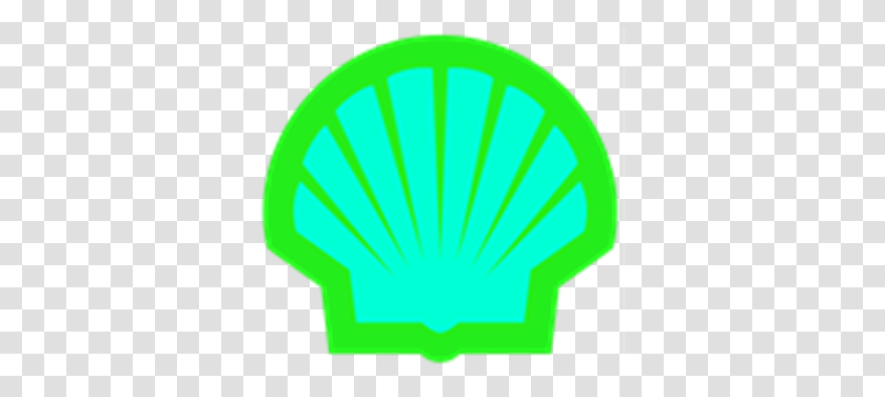Green Shell Logo Shell, Sea Life, Animal, Invertebrate, Seashell Transparent Png