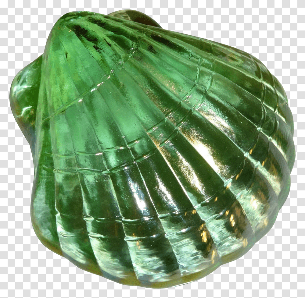 Green Shell Transparent Png
