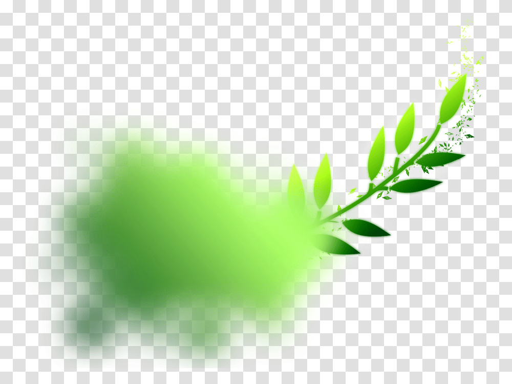 Green Smoke Graphics, Plant, Vegetable, Food Transparent Png