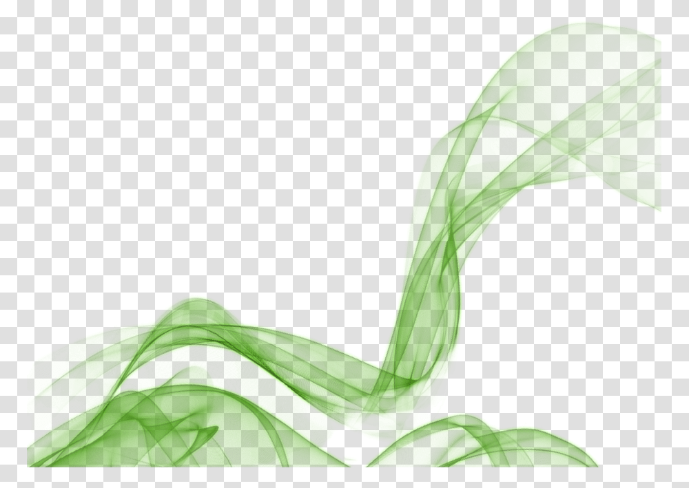 Green Smoke Sweet Grass, Leaf, Plant, Animal, Invertebrate Transparent Png