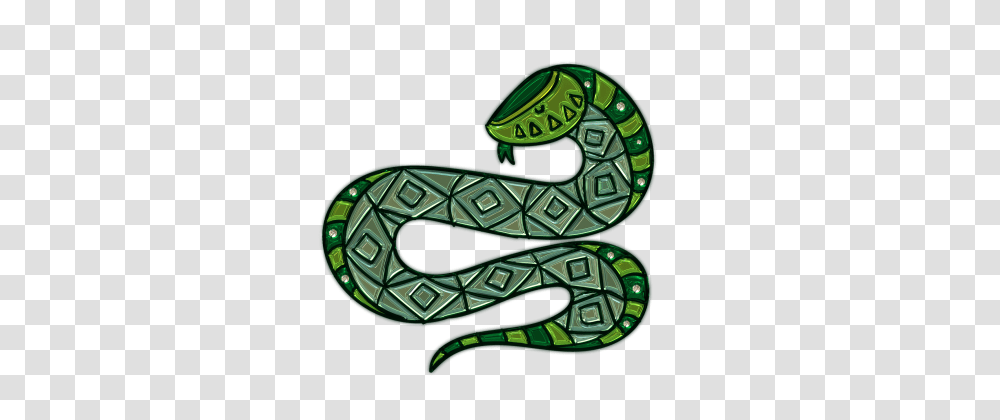 Green Snake Photos, Number, Alphabet Transparent Png