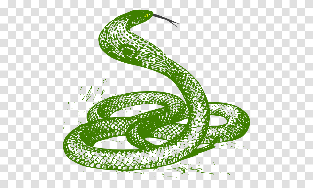 Green Snake, Reptile, Animal, Fish Transparent Png