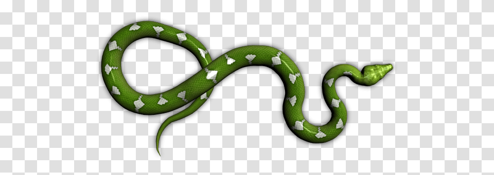 Green Snake, Reptile, Animal Transparent Png