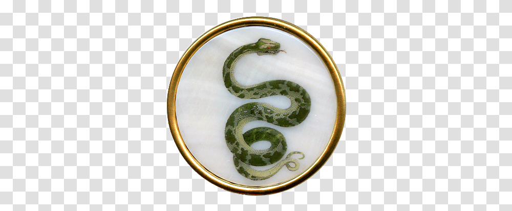 Green Snake Serpent, Reptile, Animal, Pattern, Floral Design Transparent Png