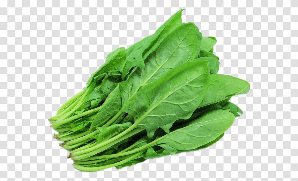 Green Spinach Background Image Green Leafy Vegetables, Plant, Food Transparent Png