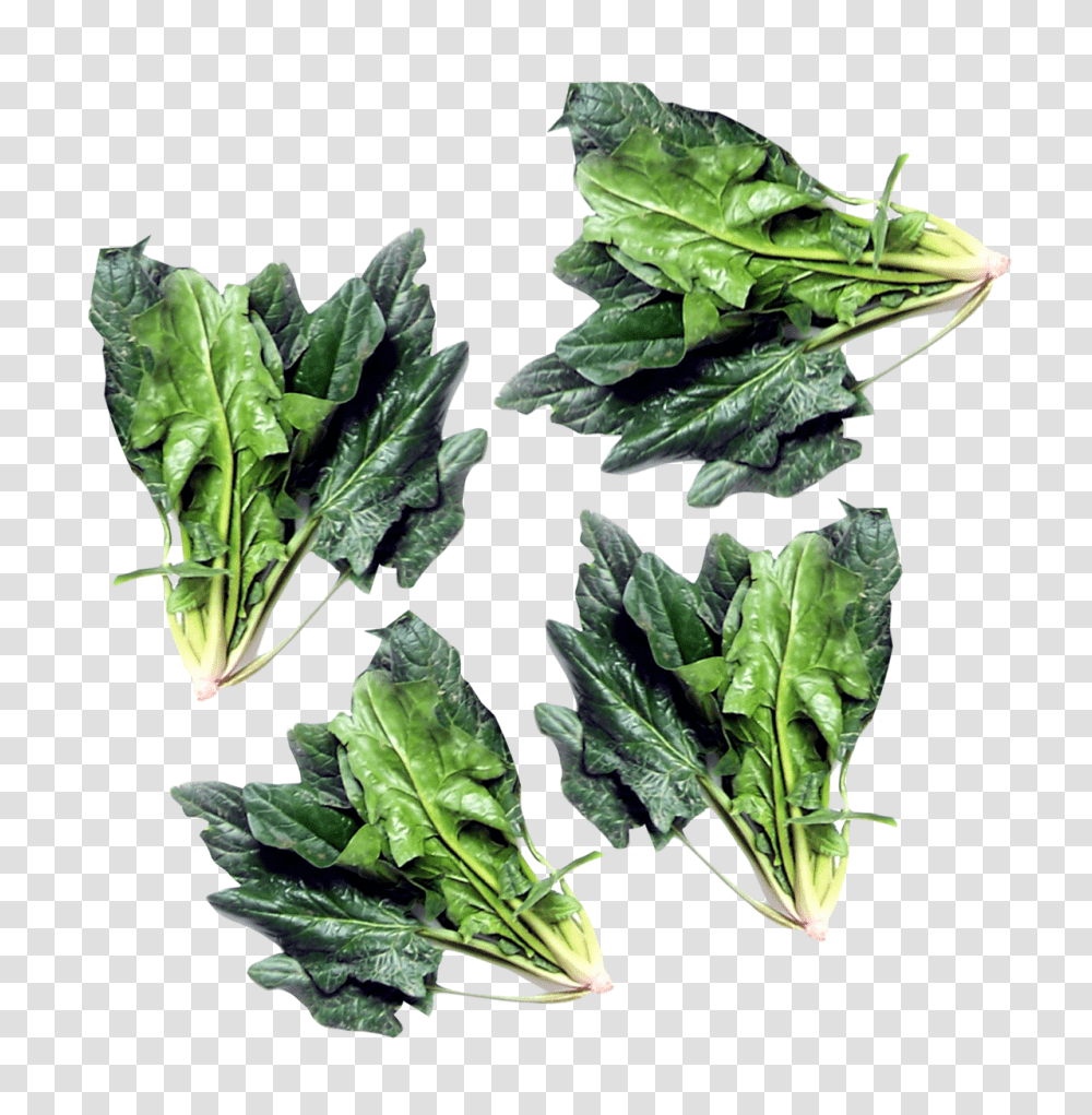 Green Spinach Image, Vegetable, Plant, Food, Kale Transparent Png