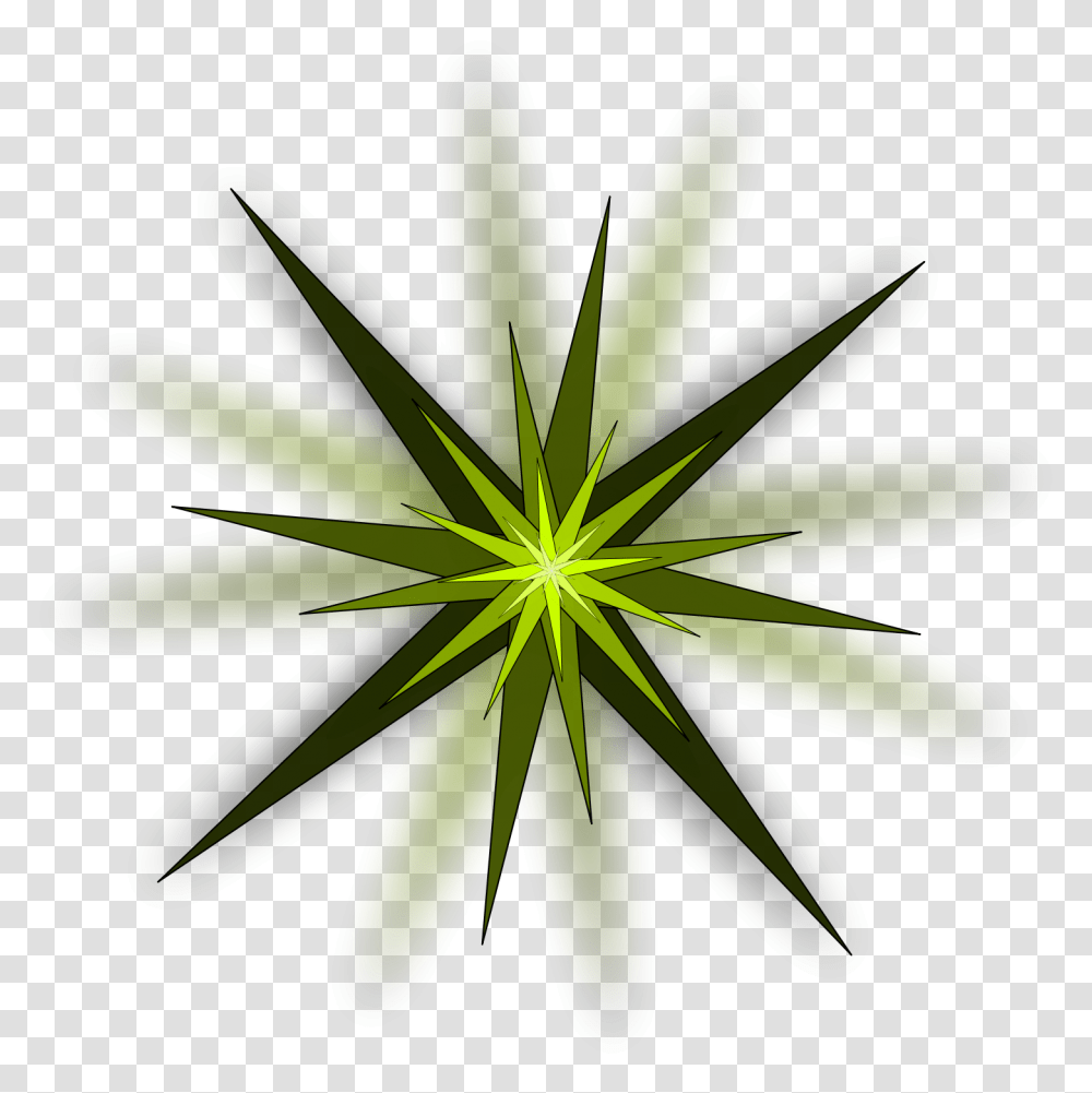 Green Stars Clipart Star Light Burst Clip Art, Plant, Pattern, Flower, Blossom Transparent Png