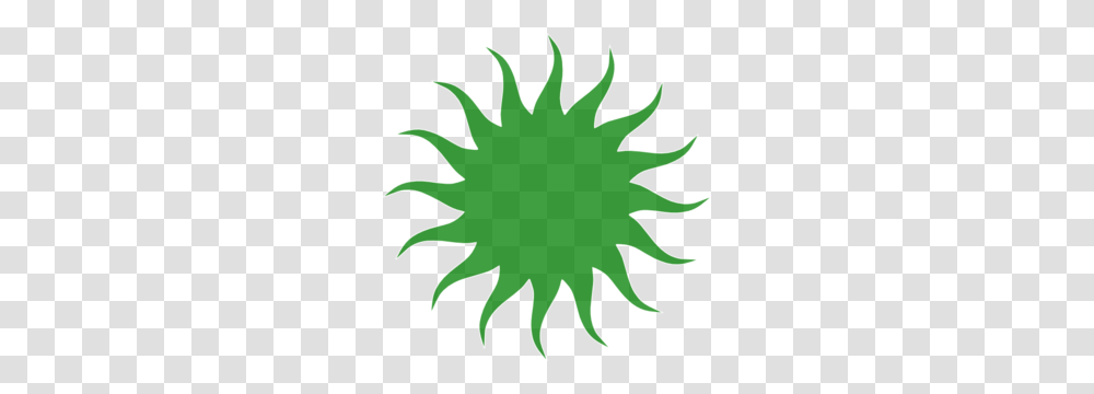 Green Sun Clip Art, Leaf, Plant, Tree Transparent Png