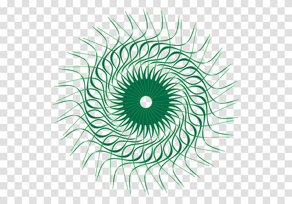 Green Sun Shape Circles Swirl Rays Shapes Circle Circle, Pattern, Ornament, Fractal, Pineapple Transparent Png