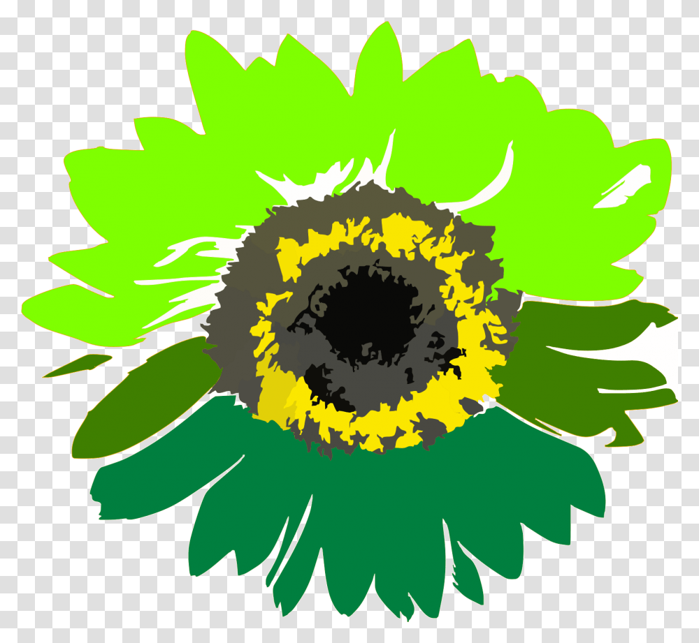 Green Sunflower Svg Vector Clip Art Svg Sunflower Drawing Background, Plant, Blossom, Daisy, Daisies Transparent Png