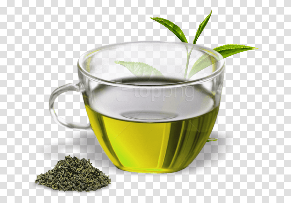 Green Tea Cup, Vase, Jar, Pottery, Plant Transparent Png