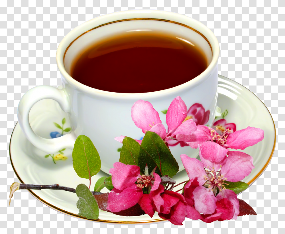 Green Tea Cup With Flower Tea Cup Image With Flowers, Saucer, Pottery, Plant, Beverage Transparent Png