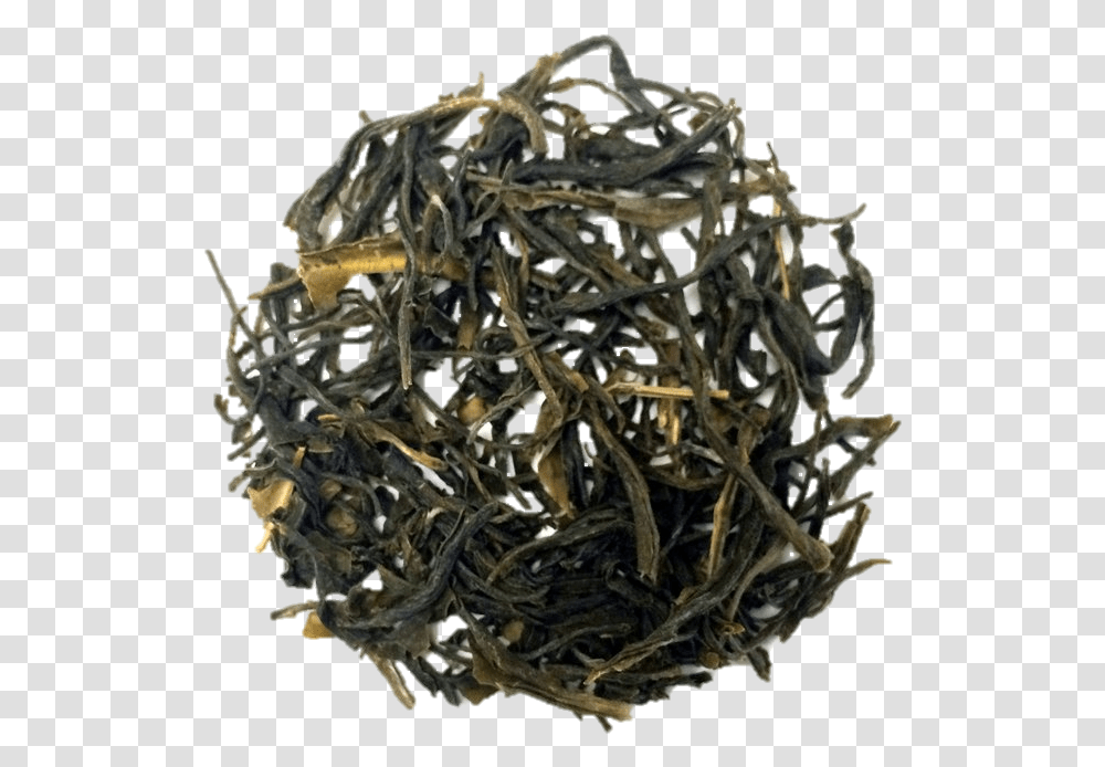 Green Tea Da Hong Pao, Antler, Bronze Transparent Png