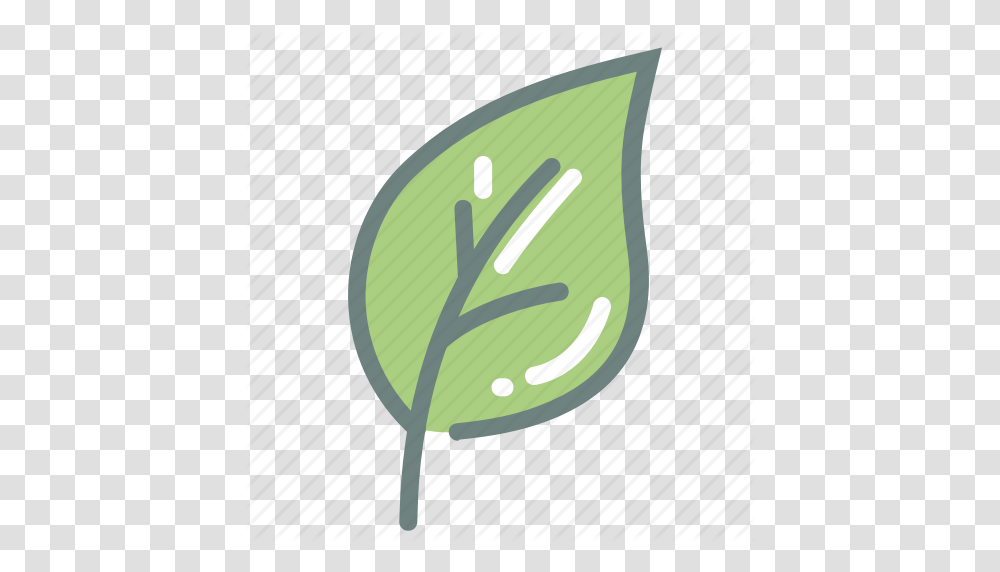 Green Tea Harvest Herb Leaf Leaves Matcha Tea Icon, Plant, Vegetable, Food, Seed Transparent Png