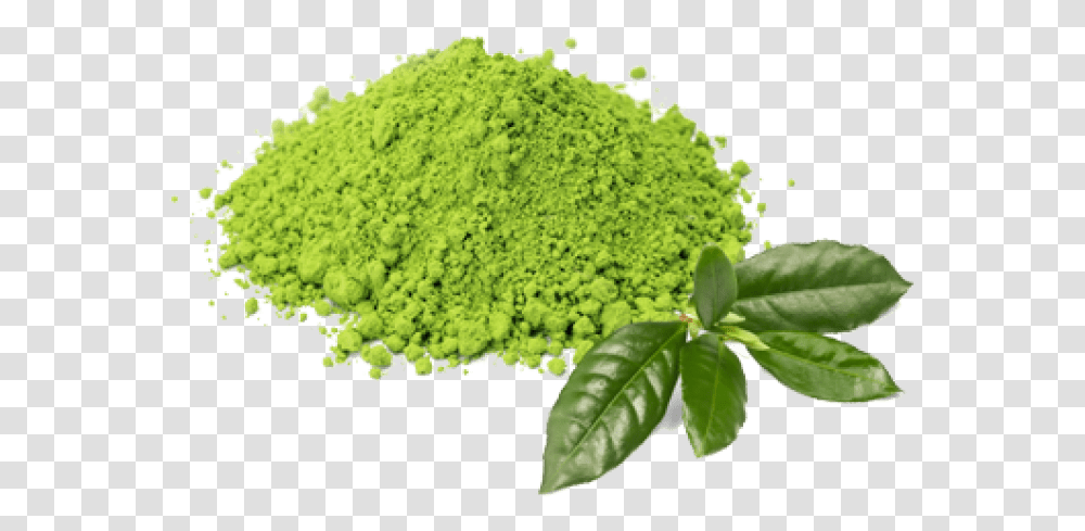 Green Tea Images Green Tea Powder, Plant, Pottery, Vase, Jar Transparent Png
