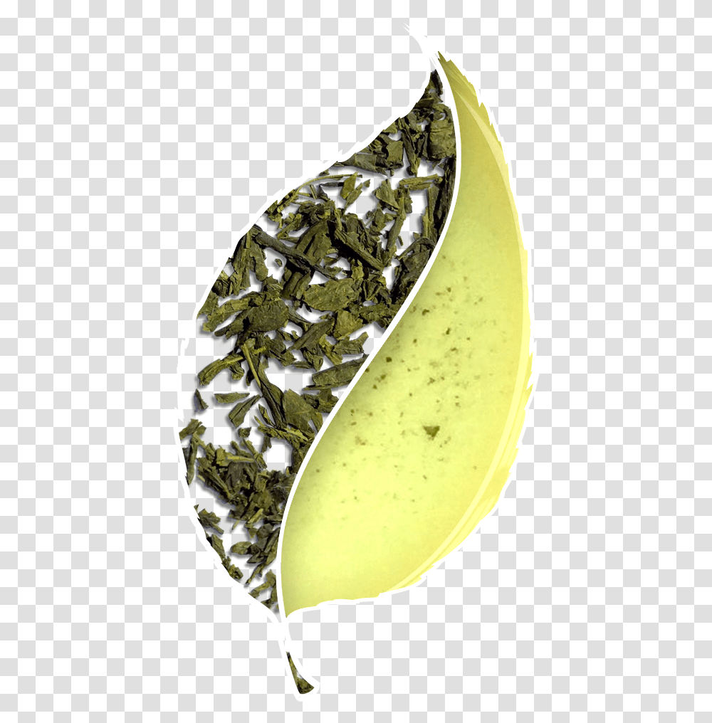 Green Tea Leaf Banana, Plant, Bowl, Beverage, Drink Transparent Png