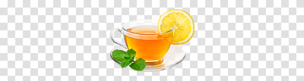 Green Tea Mages Herbal Tea Images, Plant, Vase, Jar, Pottery Transparent Png