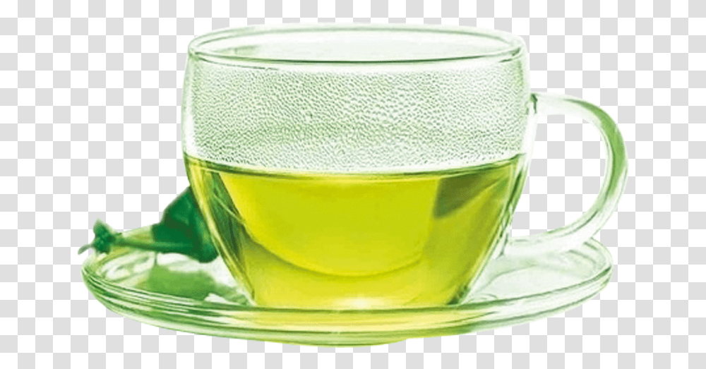 Green Tea Picture Green Tea Images, Vase, Jar, Pottery, Plant Transparent Png