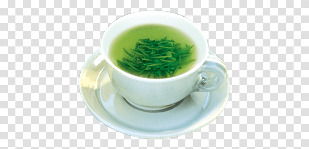 Green Tea Teacup Gratis Cup, Vase, Jar, Pottery, Plant Transparent Png