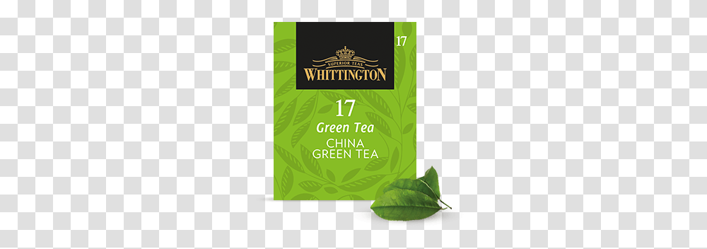 Green Teas Whittington Tea, Plant, Vase, Jar, Pottery Transparent Png