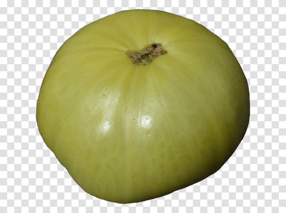 Green Tomato Clipart Apple, Plant, Fruit, Food, Insect Transparent Png