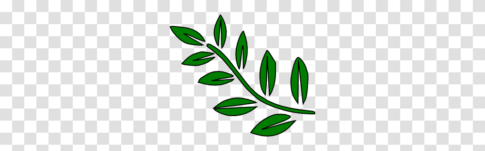 Green Tree Branch Clip Art, Leaf, Plant, Potted Plant, Vase Transparent Png