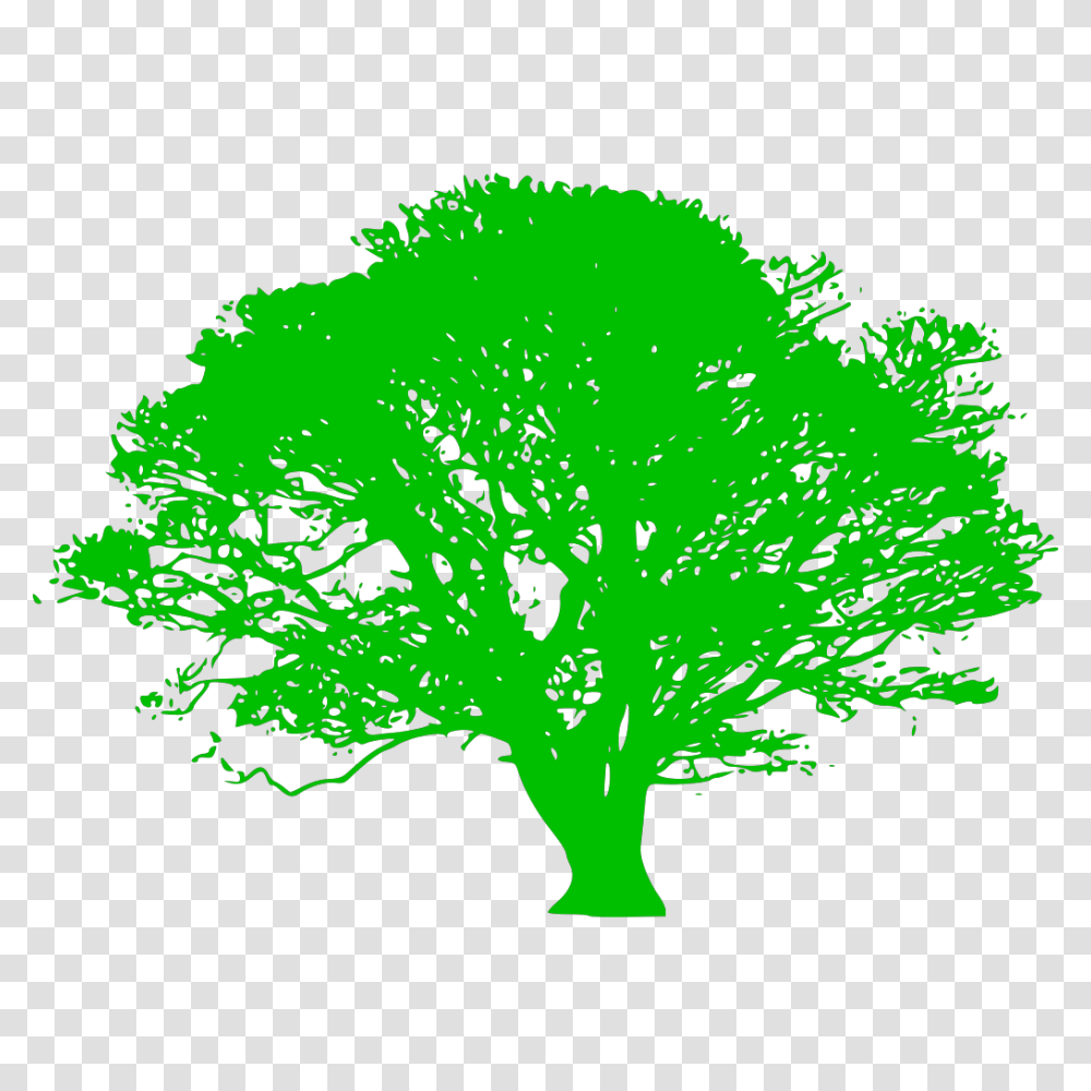 Green Tree Branch Svg Clip Art For Web Download Clip Silhouette Of Oak Tree, Bush, Vegetation, Plant, Moss Transparent Png