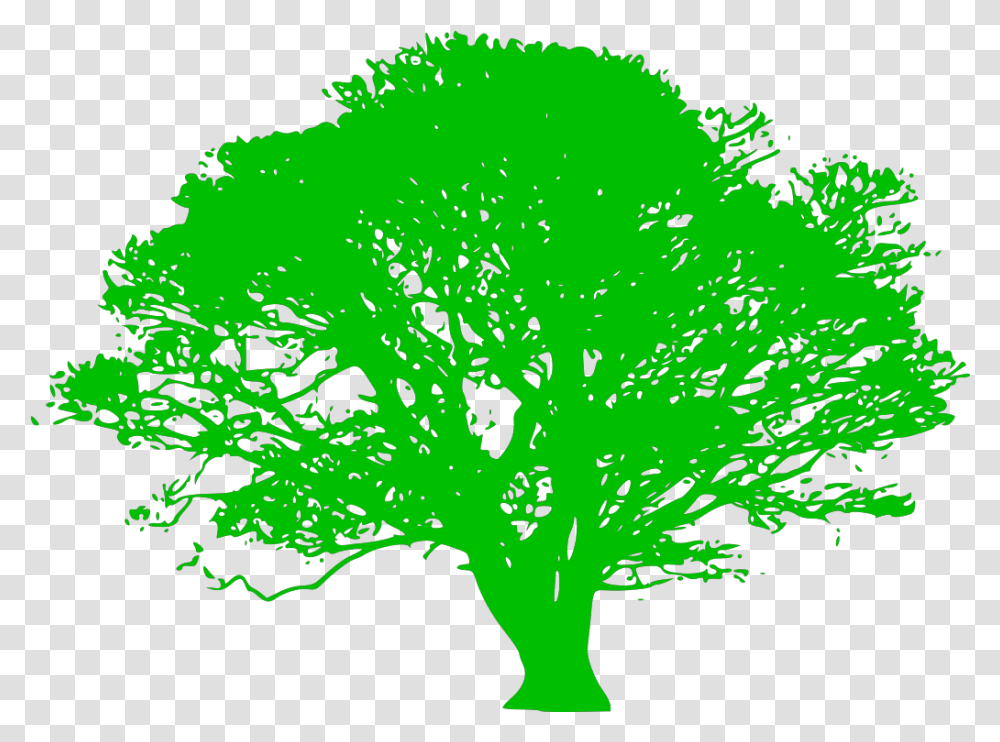 Green Tree Branch Svg Clip Art For Web Download Clip Tree Silhouette, Plant, Kale, Cabbage, Vegetable Transparent Png