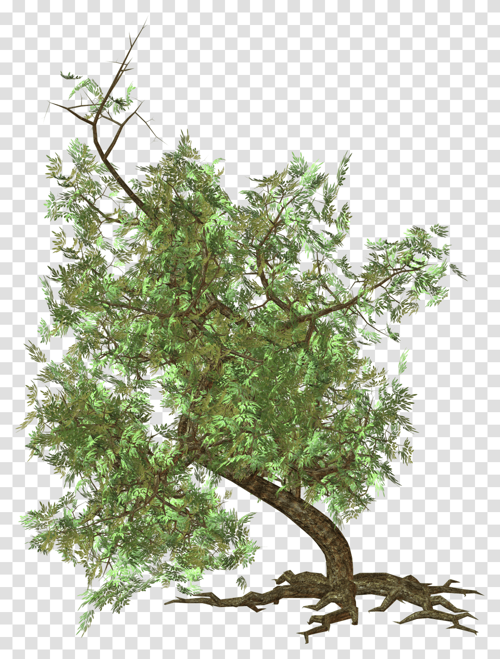 Green Tree Clipart Blocos Sketchup Transparent Png