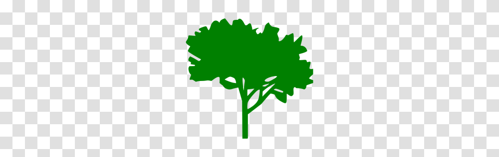 Green Tree Icon, Plant, Meal Transparent Png