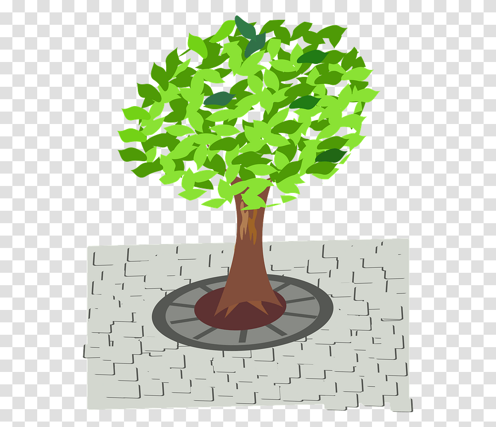 Green Tree In The Sidewalk Clipart Free Download Street Tree Clipart, Plant, Computer Keyboard, Electronics, Vegetation Transparent Png