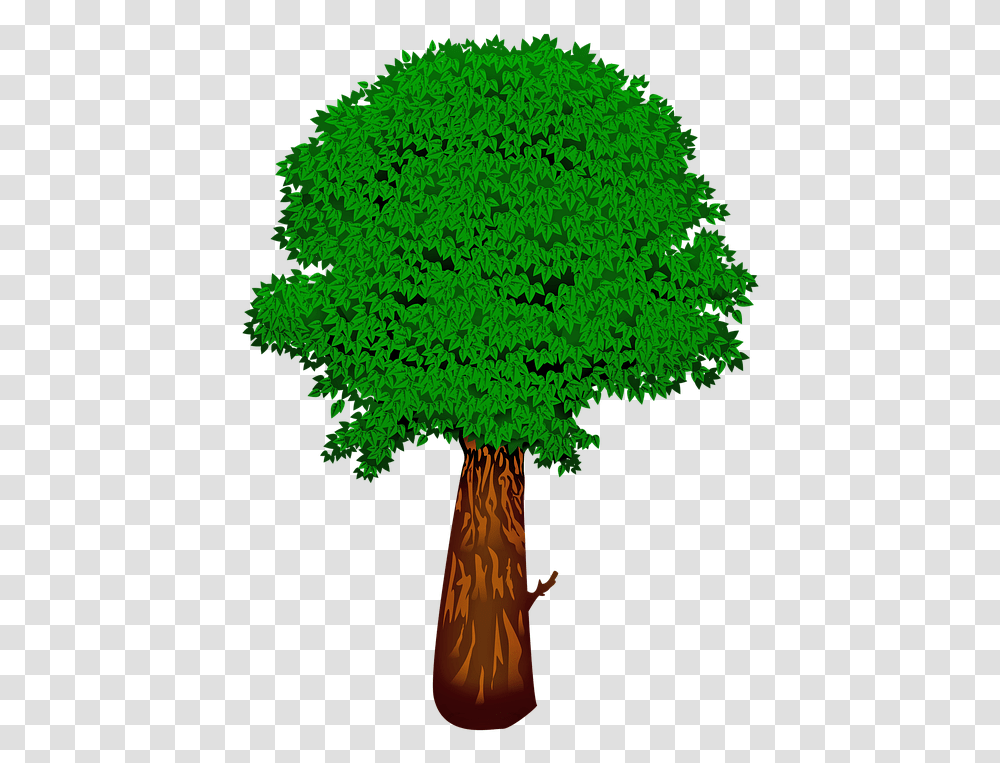 Green Tree Leaves Summer Arboles Genealogicos Sin Nombres, Plant, Root, Vegetation, Leaf Transparent Png
