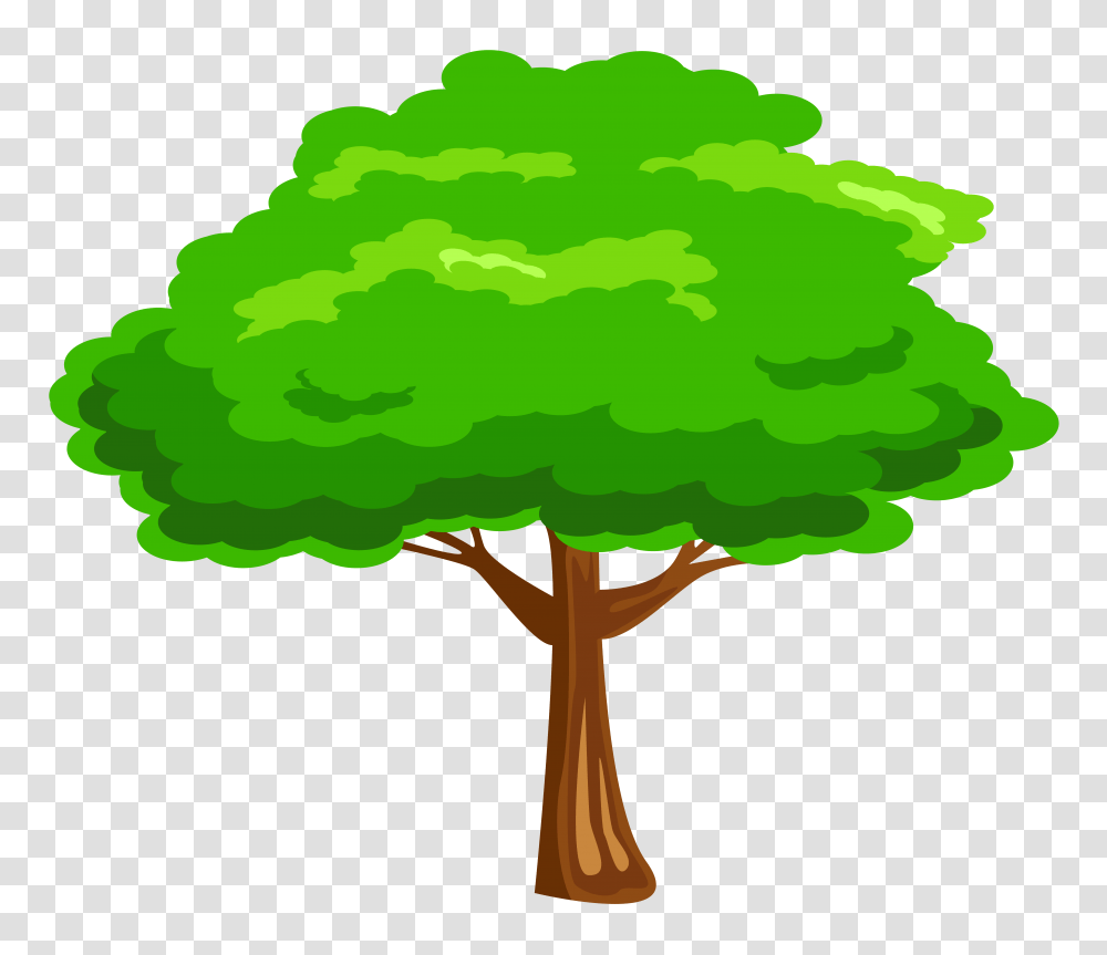 Green Tree, Plant, Maple, Fungus, Oak Transparent Png