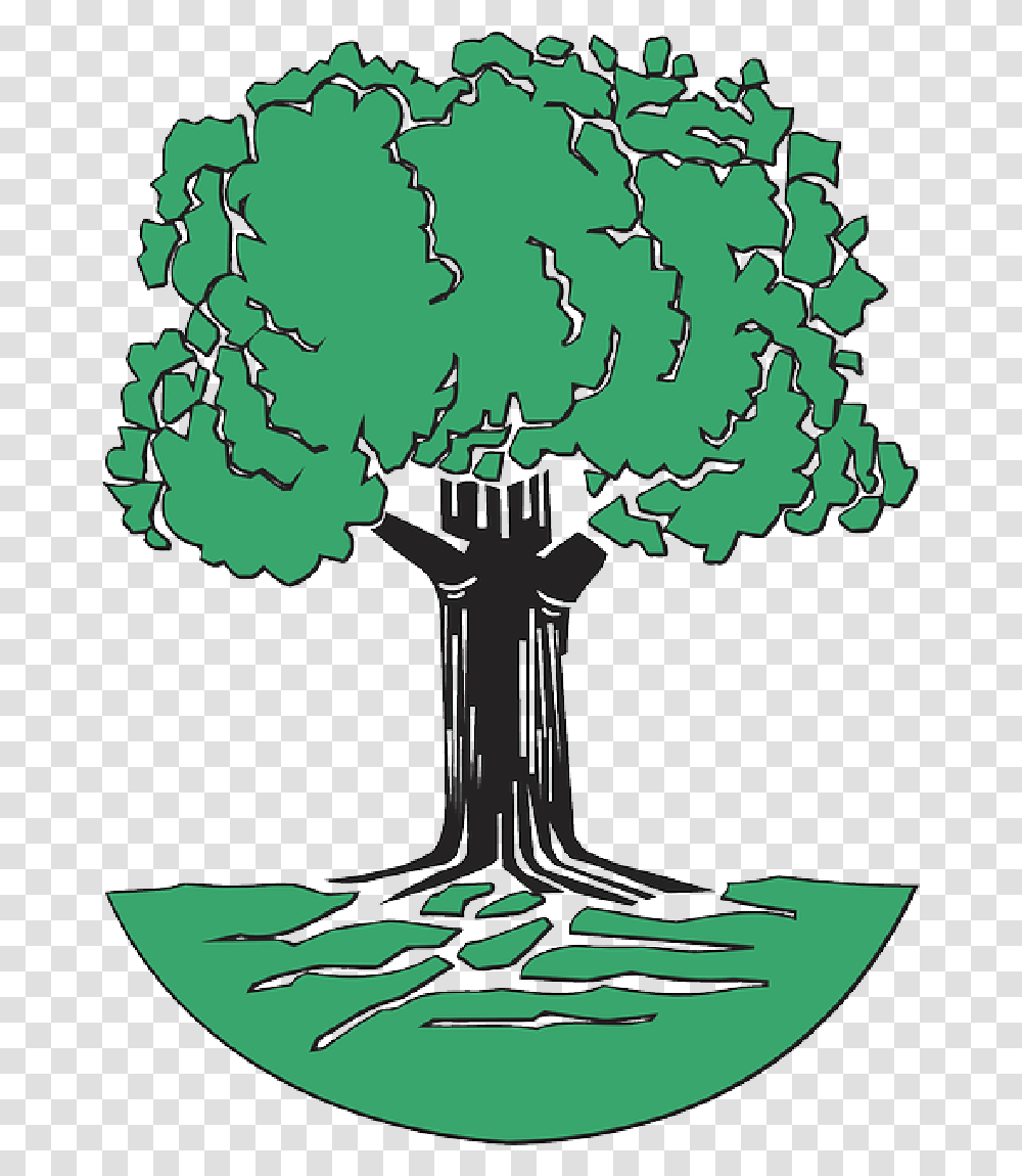 Green Tree Roots Cartoon Free Trees Plant Leaves Oak Tree Clip Art, Vegetation, Pine, Nature, Painting Transparent Png