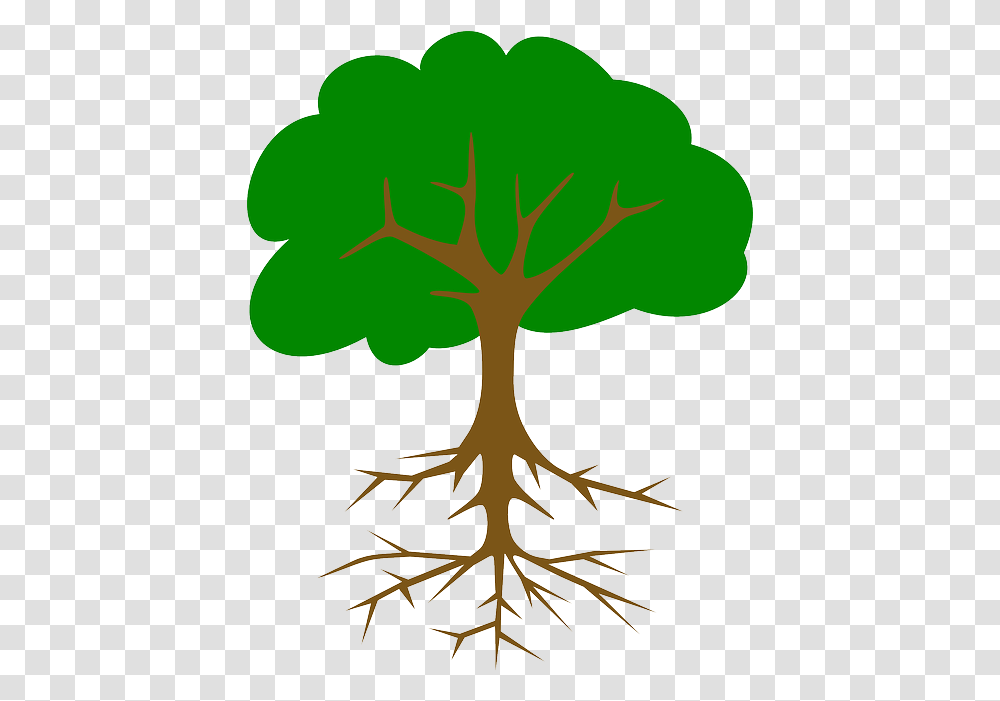 Green Tree Roots Tree Clip Art, Plant, Poster, Advertisement Transparent Png