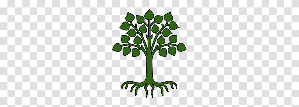 Green Tree With Roots Clip Arts For Web, Plant, Vegetable, Food, Produce Transparent Png