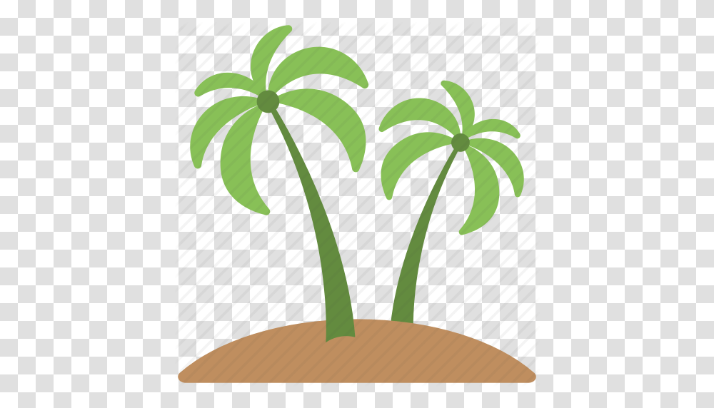 Green Trees Palm Palm Trees Soil Trees Icon, Plant, Flower, Blossom Transparent Png