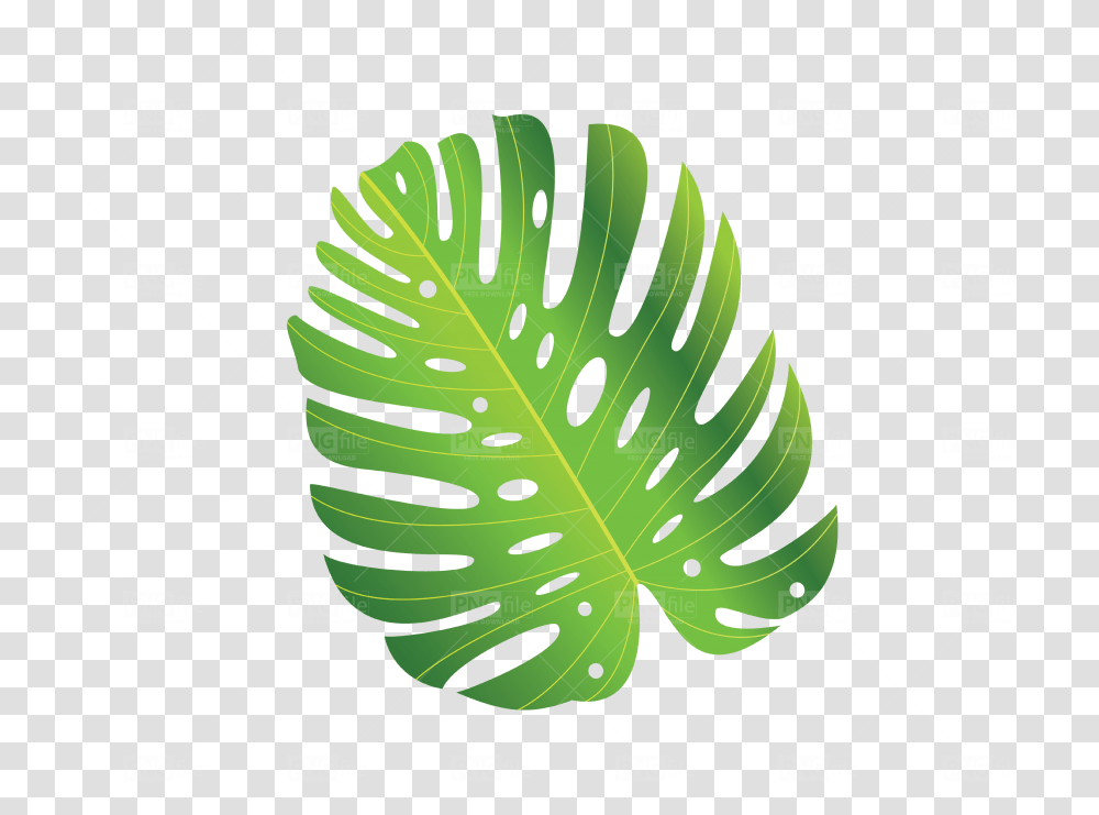Green Tropical Leave Free Download Illustration, Plant, Leaf, Diagram, Plot Transparent Png