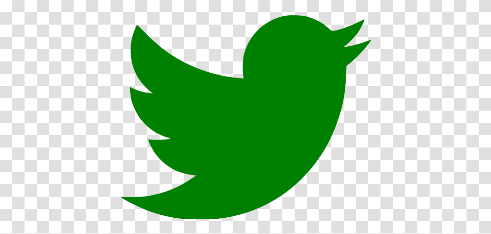 Green Twitter Icon Twitter Logo, Plant, Symbol, Text, Vegetable Transparent Png