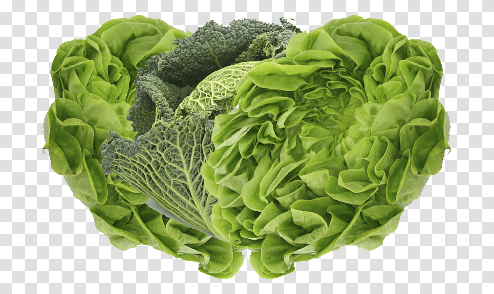 Green Vegetable, Plant, Food, Cabbage, Head Cabbage Transparent Png