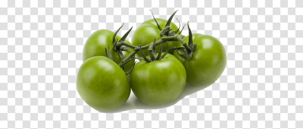 Green Vine Tomatoes Tomato Green On Vine, Plant, Vegetable, Food, Apple Transparent Png