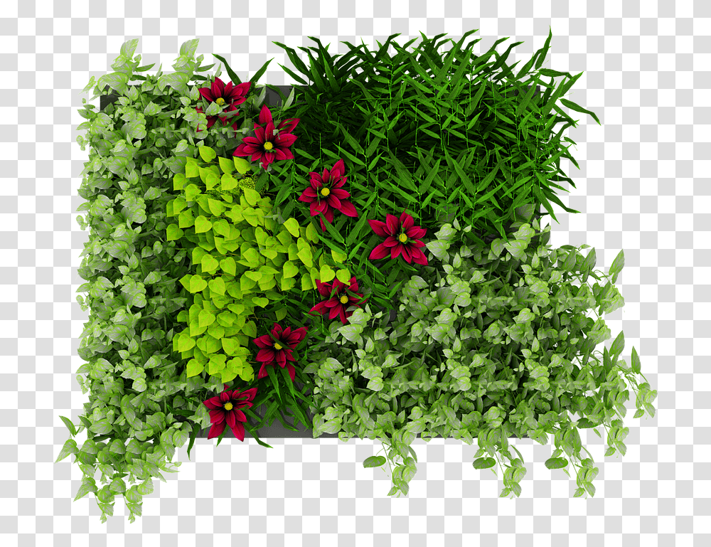 Green Wall Leaves Green Wall, Plant, Vase, Jar, Pottery Transparent Png