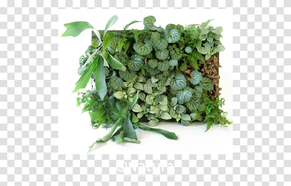 Green Wall Panel System Corner Vertical Garden System, Potted Plant, Vase, Jar, Pottery Transparent Png