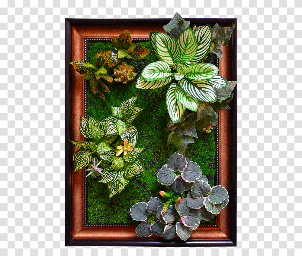 Green Wall, Plant, Leaf, Floral Design Transparent Png