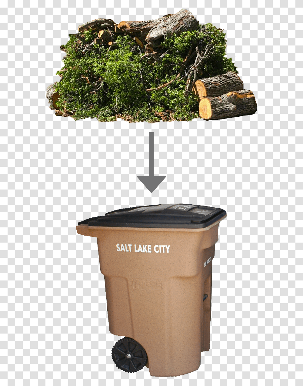 Green Waste Belongs In The Brown Compost Bin Christmas Tree, Mailbox, Trash Can, Tin, Wood Transparent Png
