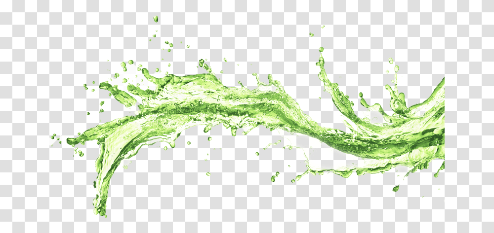 Green Water Splash Image Juice Splash, Plant, Food, Algae, Fruit Transparent Png