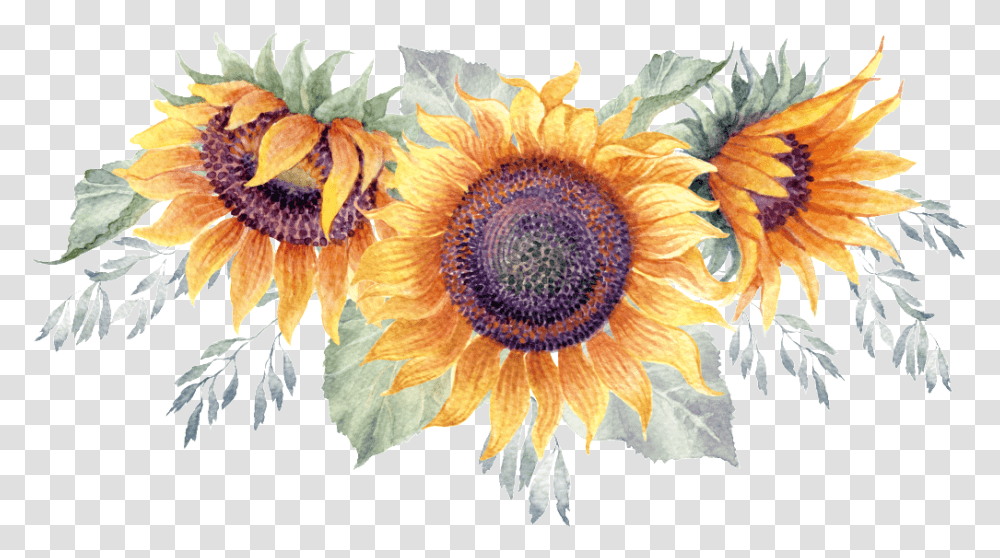 Green Watercolor Hand Painted Sunflower, Plant, Blossom, Bird, Animal Transparent Png